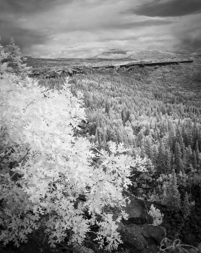 Looking North in Infrared