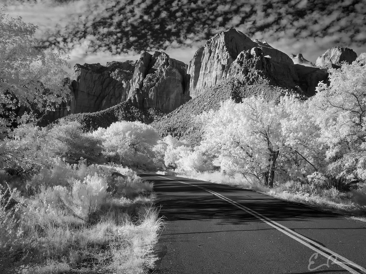 Service Road Only in Infrared