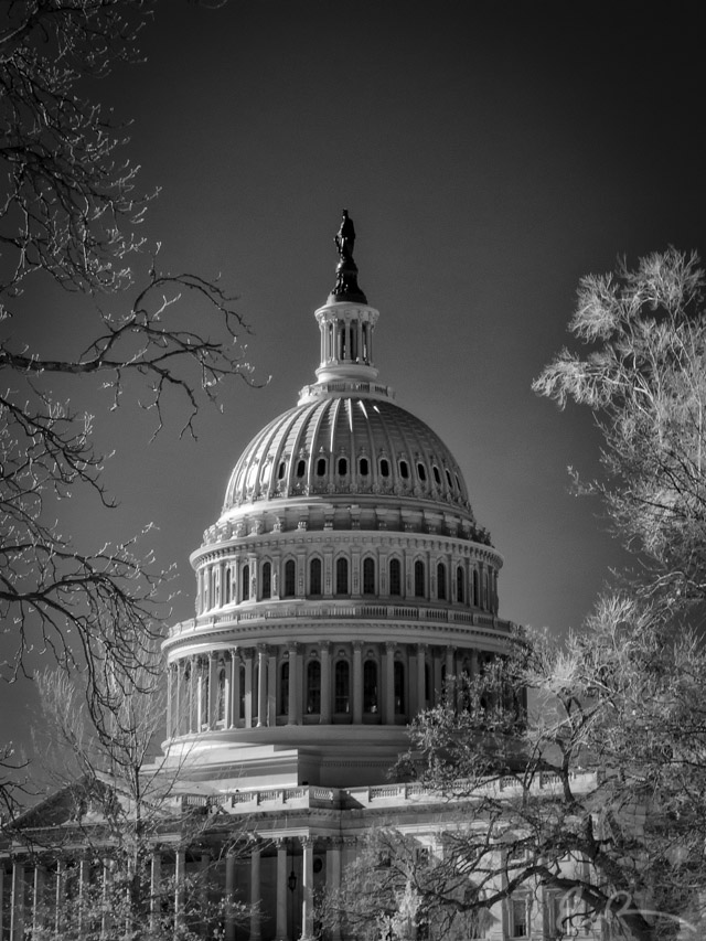 Capitol Building in Infrared I