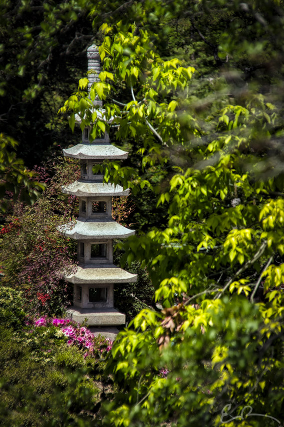 Huntington Japanese Garden