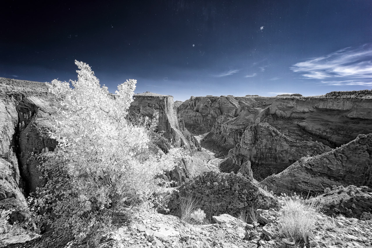 Zion's Observation Point Trail II