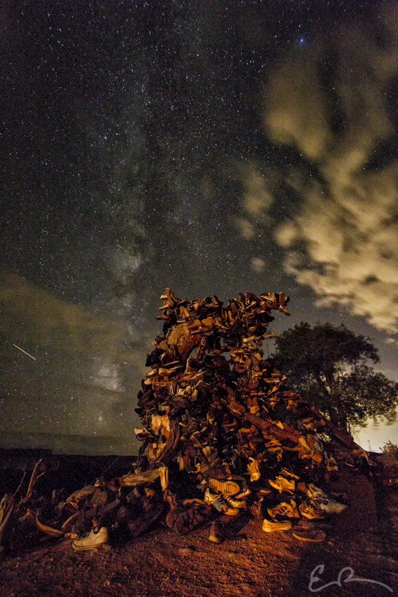 Zion Shoe Tree