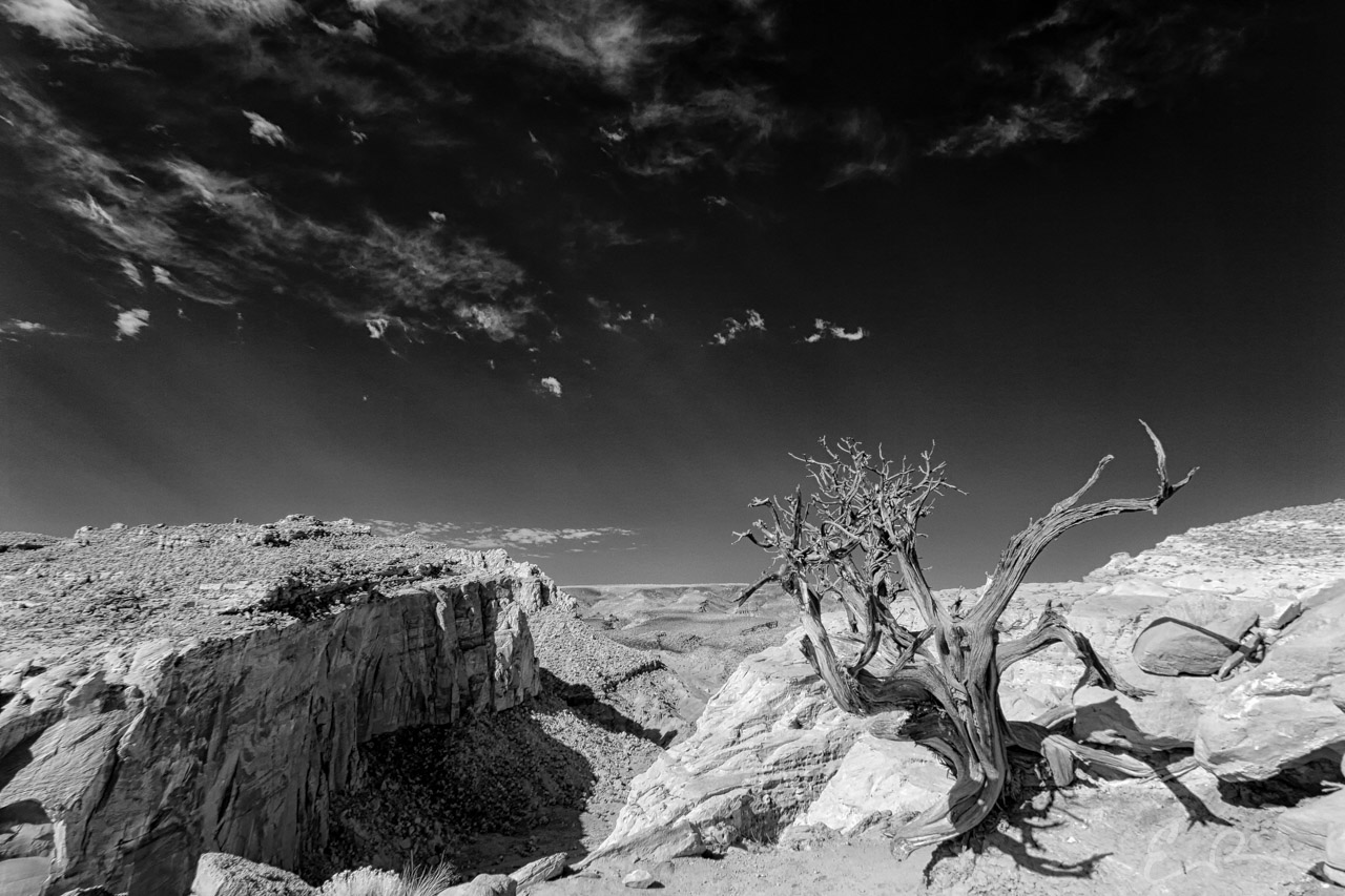 Capitol Reef IV